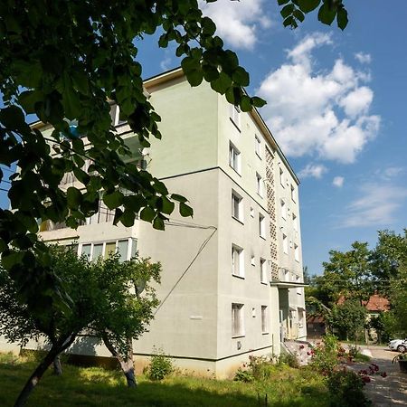 Nya Apartment Sighişoara Extérieur photo