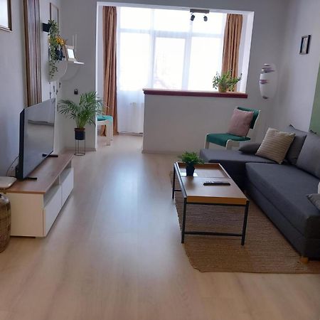Nya Apartment Sighişoara Extérieur photo