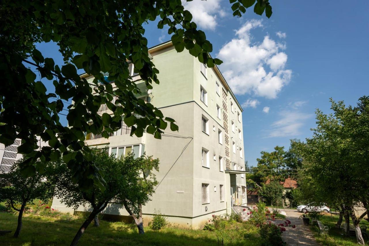Nya Apartment Sighişoara Extérieur photo