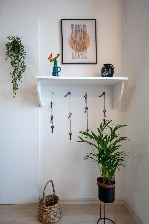 Nya Apartment Sighişoara Extérieur photo